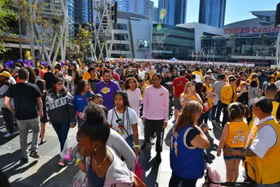 DSC_7197 (Large).JPG